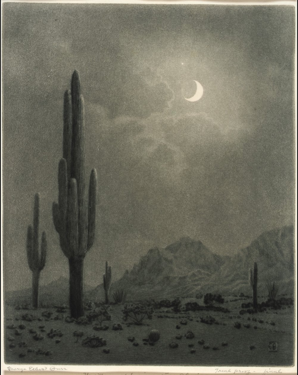 New Moon and Evening Star, Phoenix door George Elbert Burr