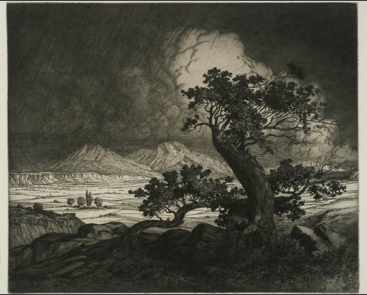 Oude ceders en Spaanse pieken door George Elbert Burr