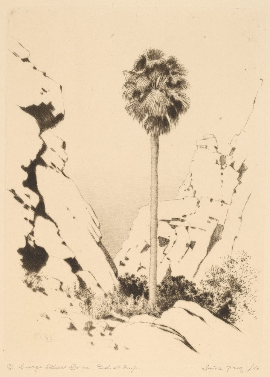 Palm Canyon (nr.1) door George Elbert Burr