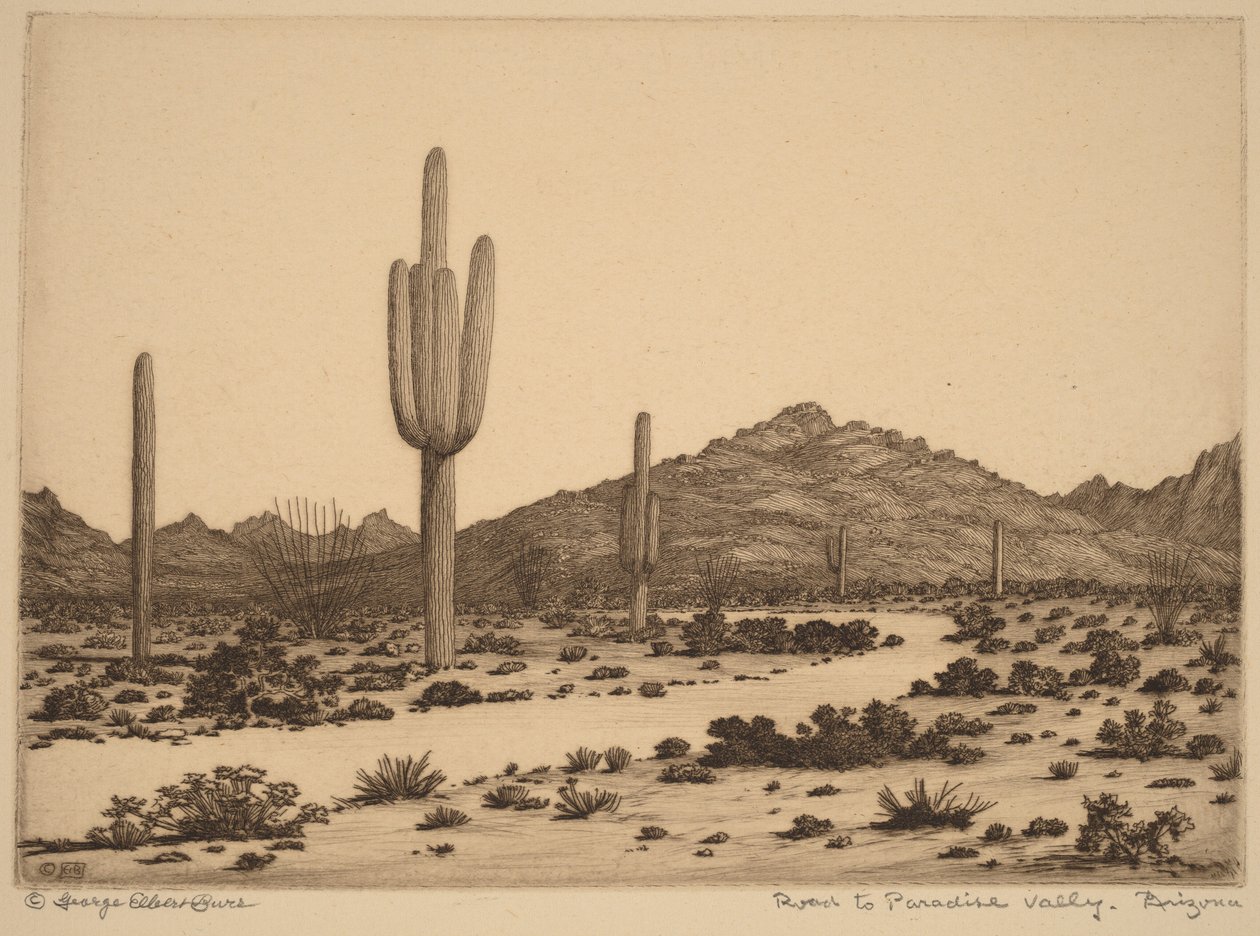 De weg naar Paradise Valley, Arizona door George Elbert Burr