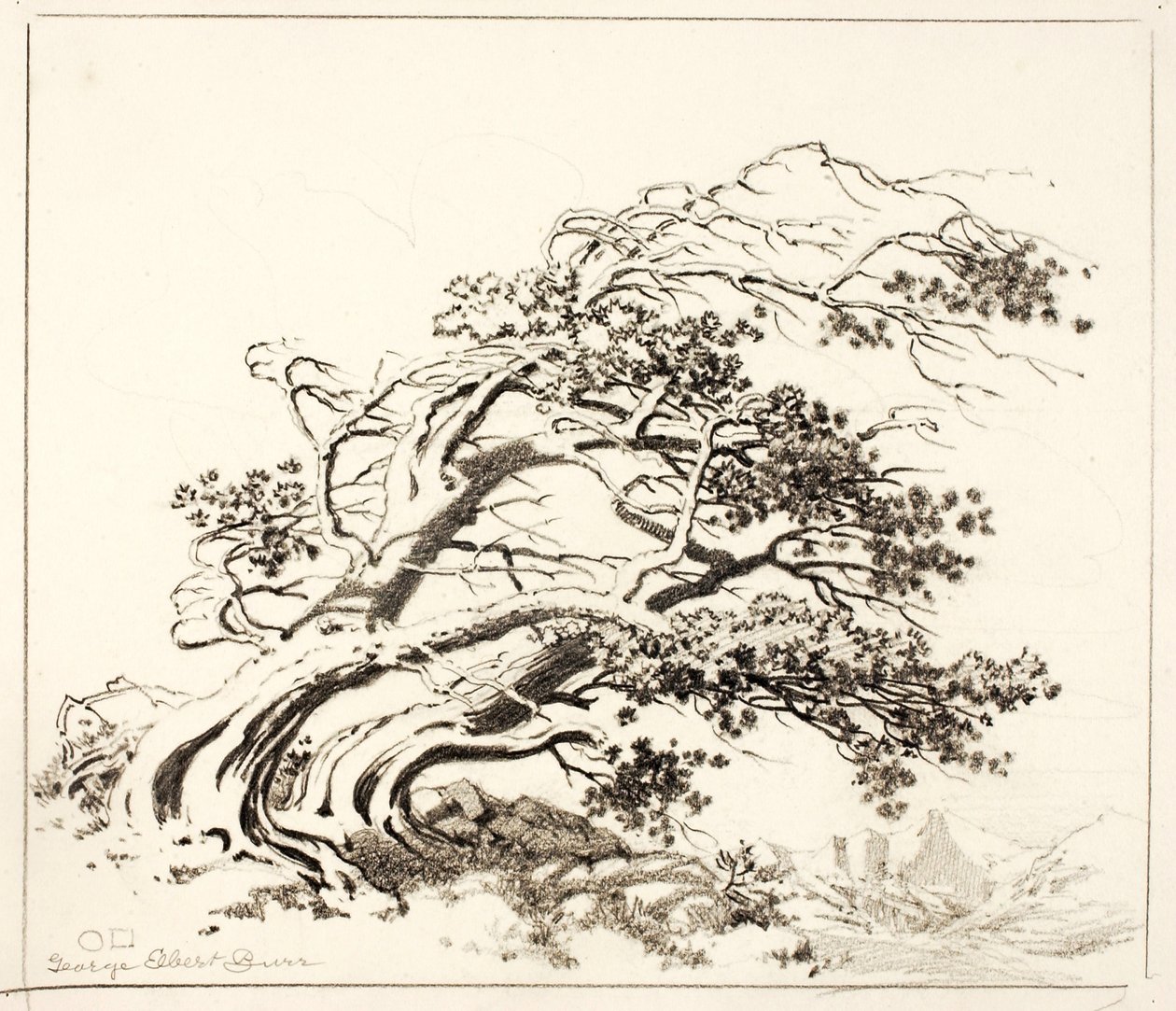 Schets voor Pijnbomen in de wind, Estes Park door George Elbert Burr