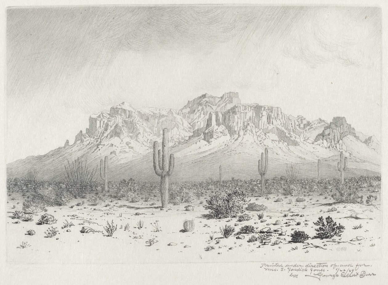 Superstition Mountain, Apache Trail, Arizona (nr.1) door George Elbert Burr