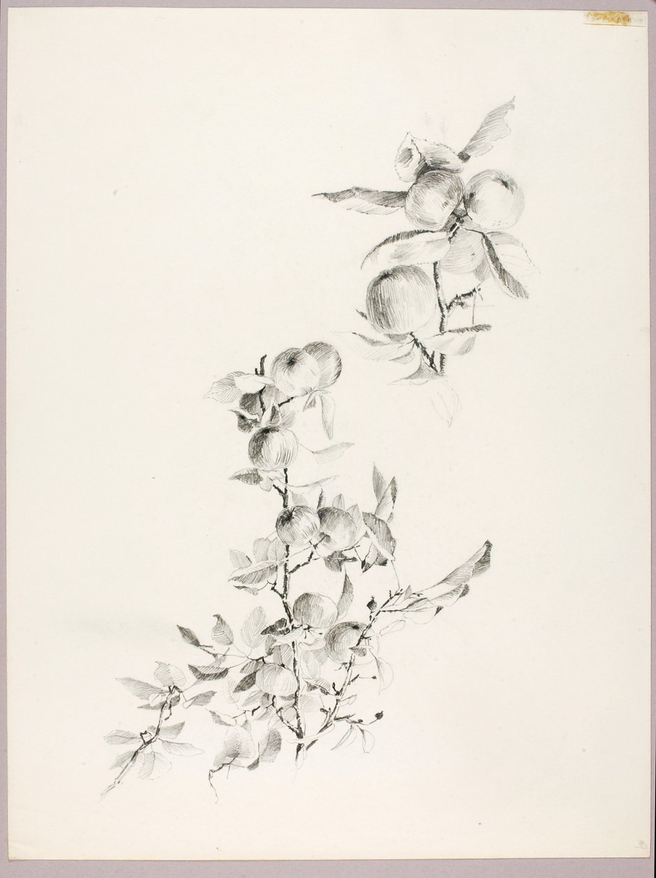 Zonder titel (Takken van appelboom) door George Elbert Burr