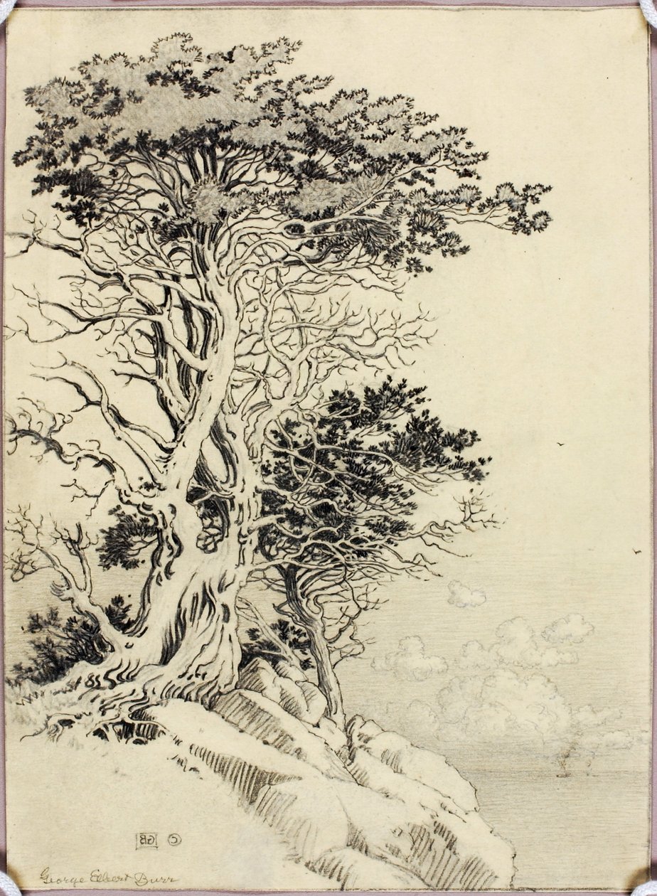 Zonder titel (tekening voor afdruk) door George Elbert Burr