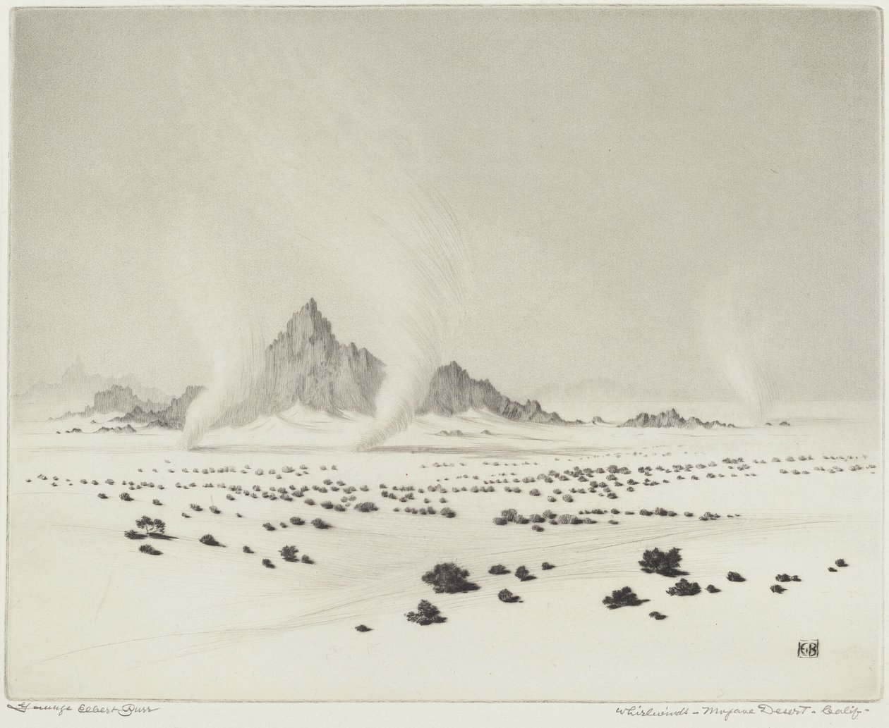 Wervelwinden, Mojavewoestijn, Californië (nr.3) door George Elbert Burr