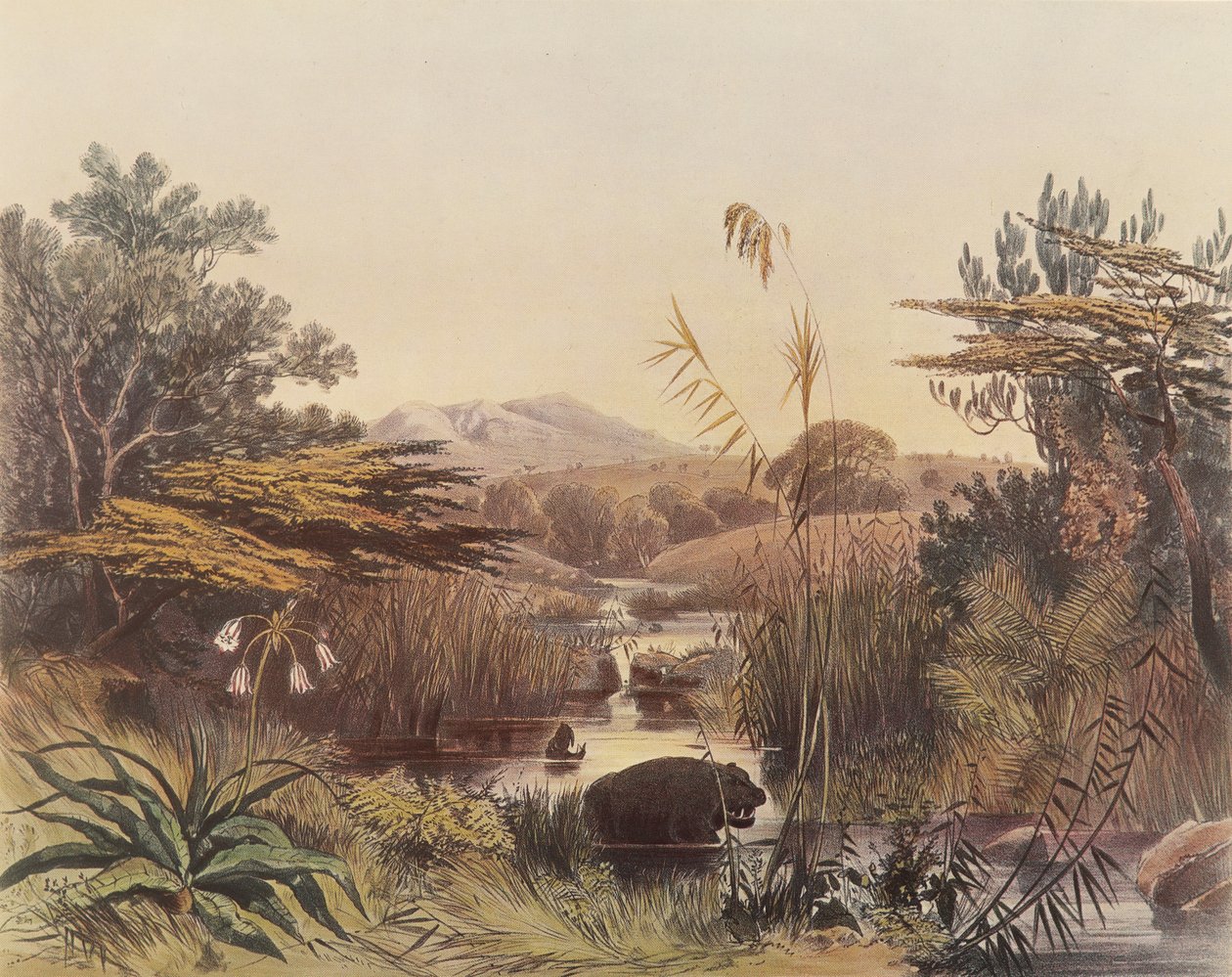 De Umnonoti-rivier bij schemering door George French Angas