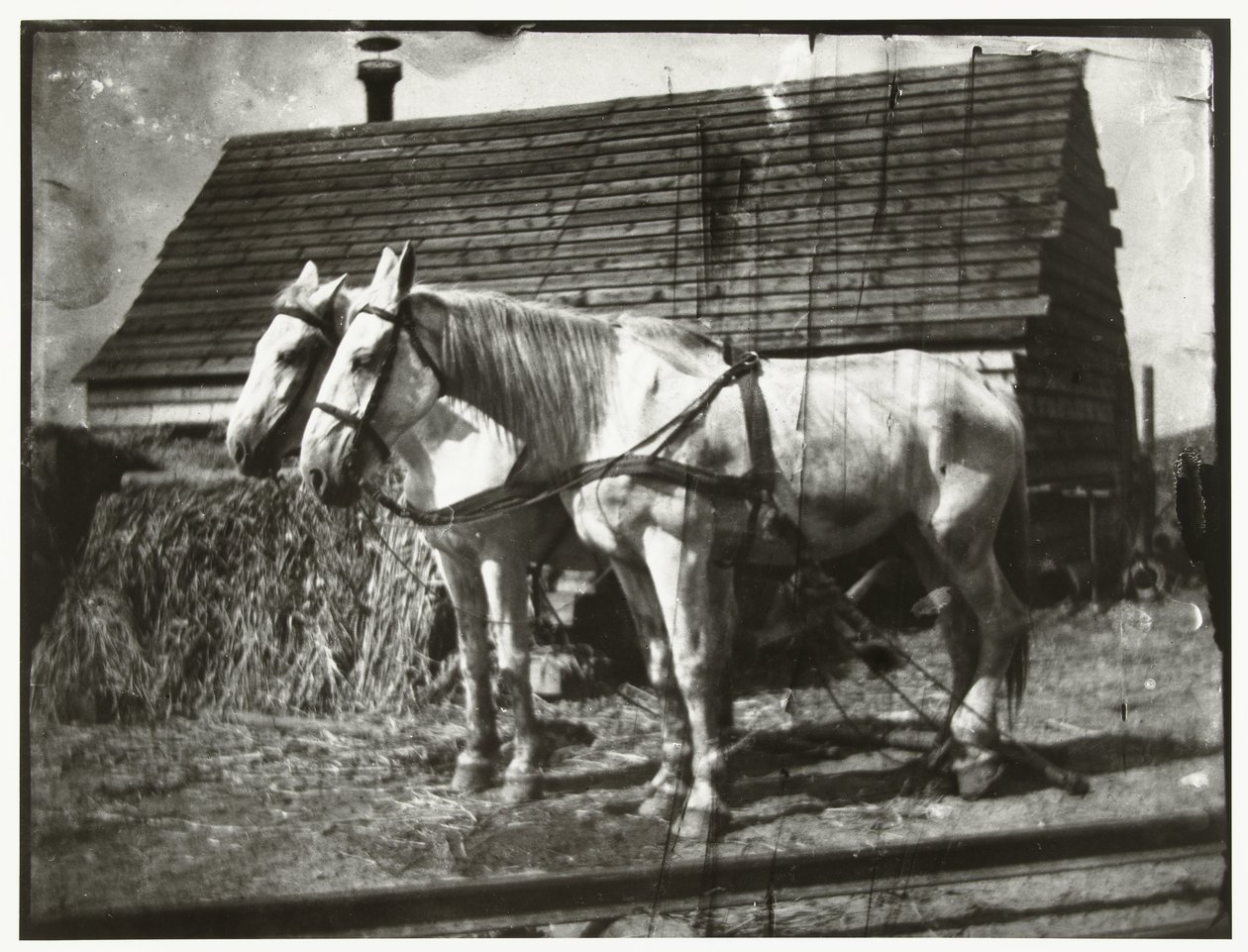 Paarden aan de Cruquiusweg door George Hendrik Breitner