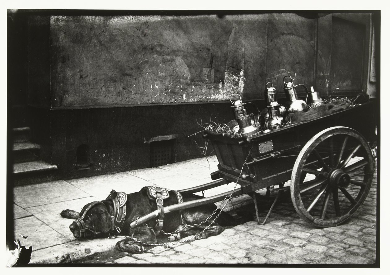 Trekhond voor een kar met bussen gespannen door George Hendrik Breitner