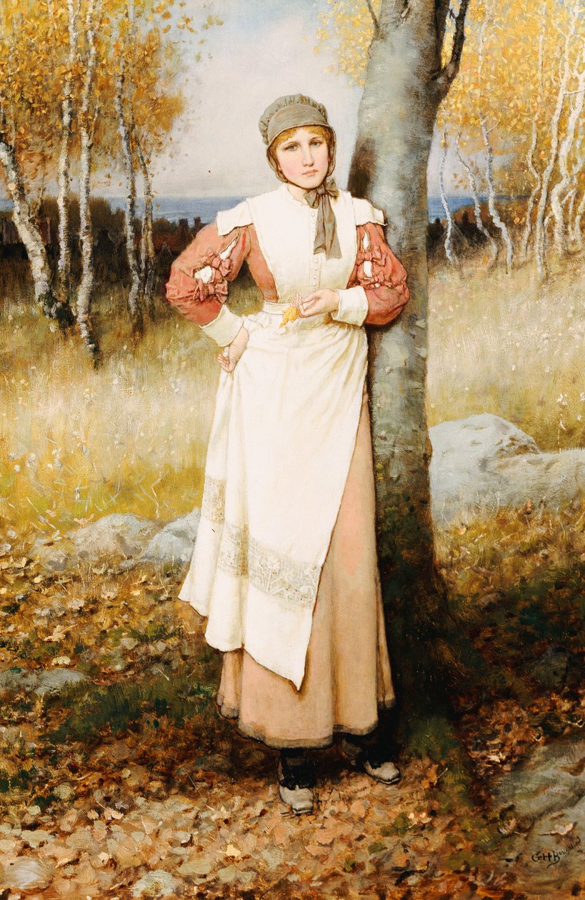 Een Roos in New England door George Henry Boughton