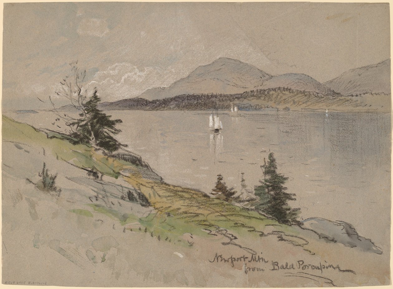 Newport Mountain vanaf Bald Porcupine door George Henry Smillie