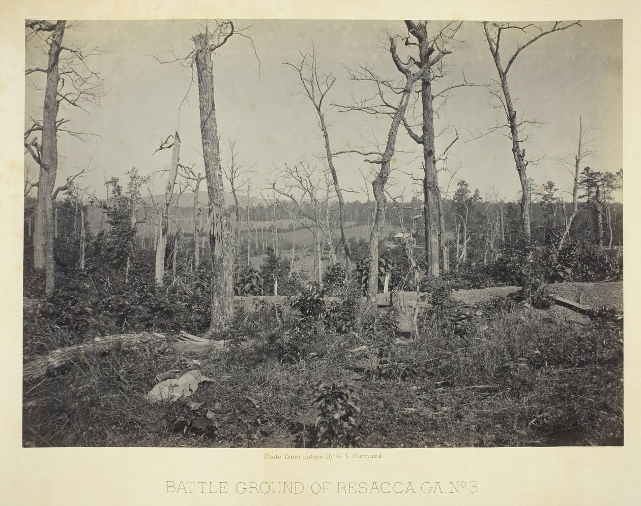 Slagveld van Resacca, GA, Nr. 3, 1866 door George N. Barnard