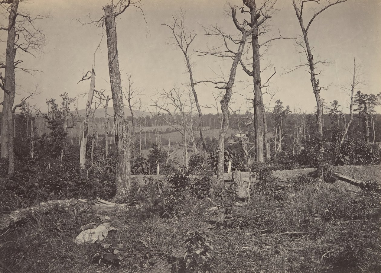 Slagveld van Resacca, Georgia nr. 3, 1860s door George N. Barnard