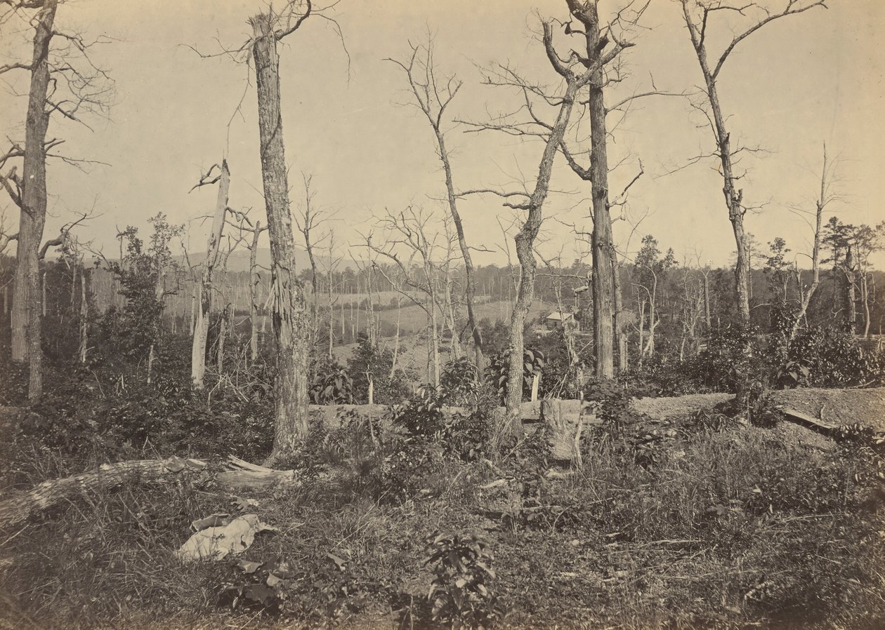 Slagveld van Resaca, Georgia, nr. 3,1864 (foto) door George N. Barnard
