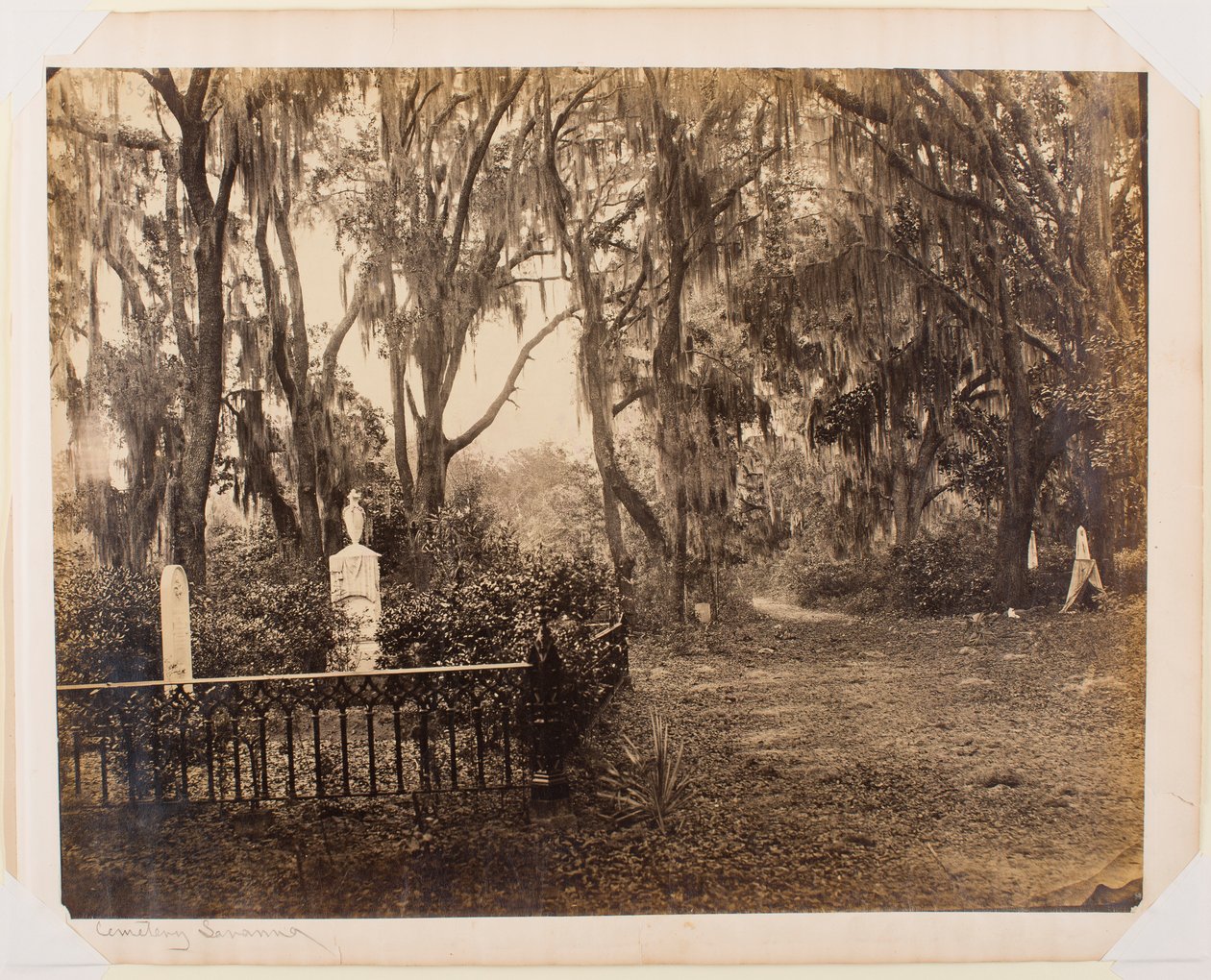 Buen-Ventura, Savannah, Georgia door George N. Barnard