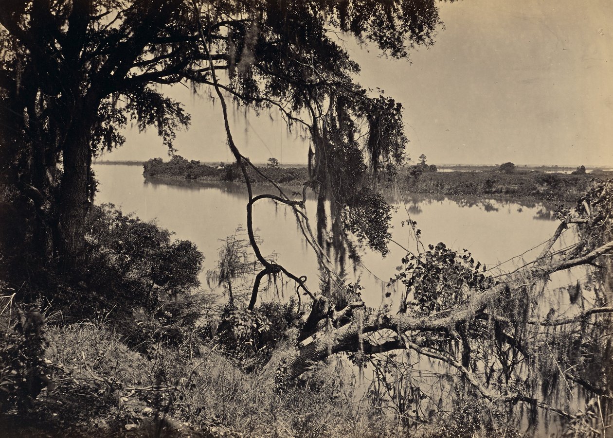 [Savannah River, nabij Savannah, Georgia] door George N. Barnard