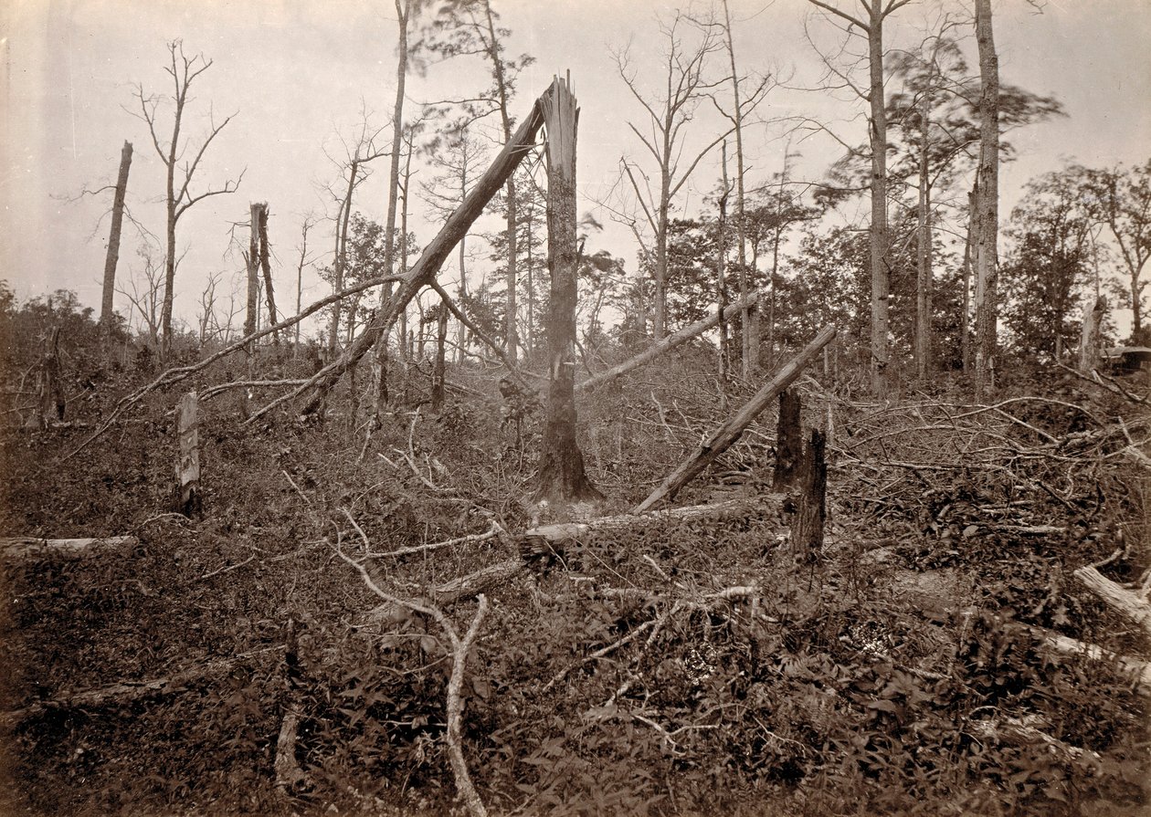 The "Hell Hole", New Hope Church, Georgia, uit Photographic Views of Sherman