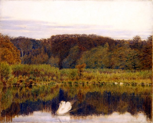 Abinger Mill Pond, Surrey - Ochtend in de late herfst door George Price Boyce