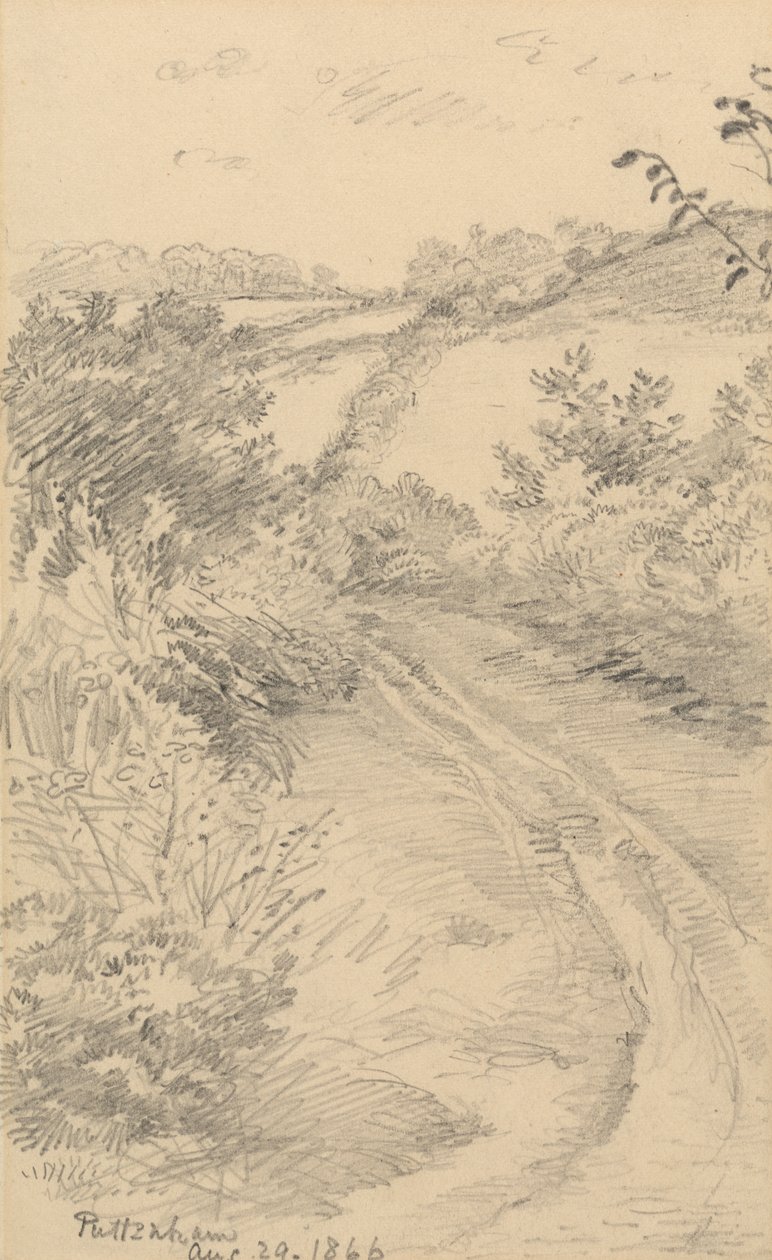 Een bosrijke laan met een veld daarachter door George Richmond
