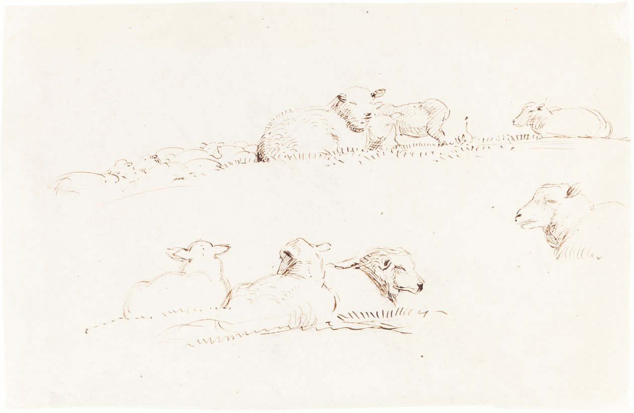 Studies van Schapen in de Weide door George Richmond