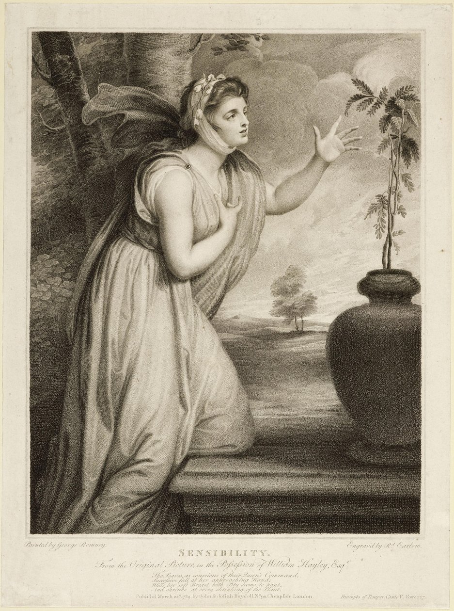Gevoeligheid door George Romney