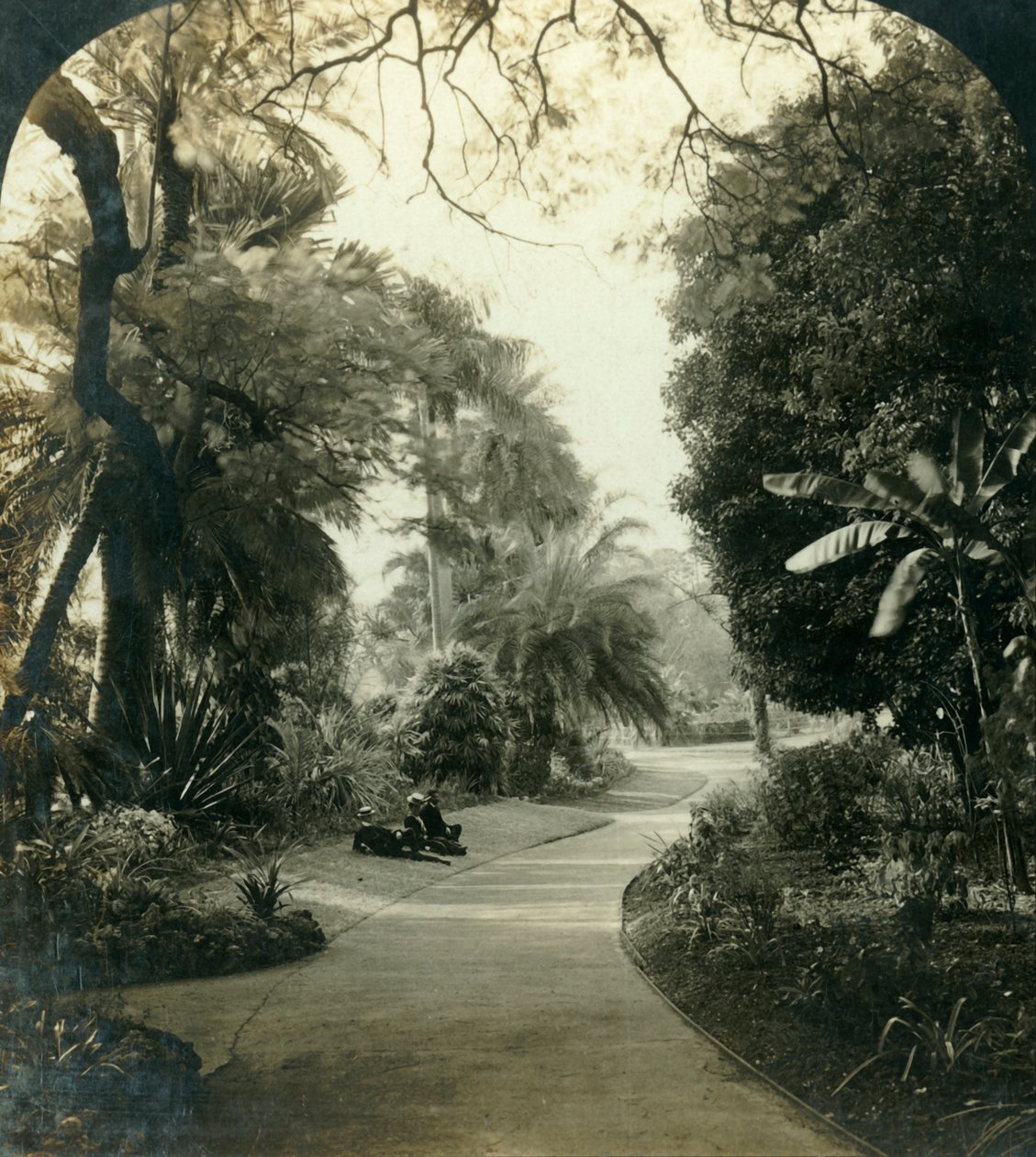 Pad in het Queens Park, Brisbane, Australië, ca. 1909 door George Rose