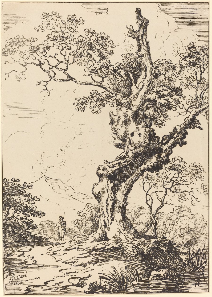 Studie van een oude eik, water rechts, een man links door George Samuel