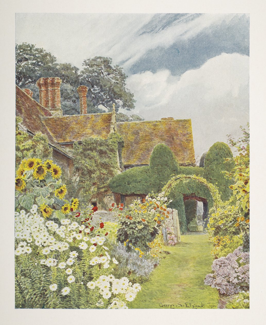 Cleeve Prior, Zonnebloemen, illustratie in 