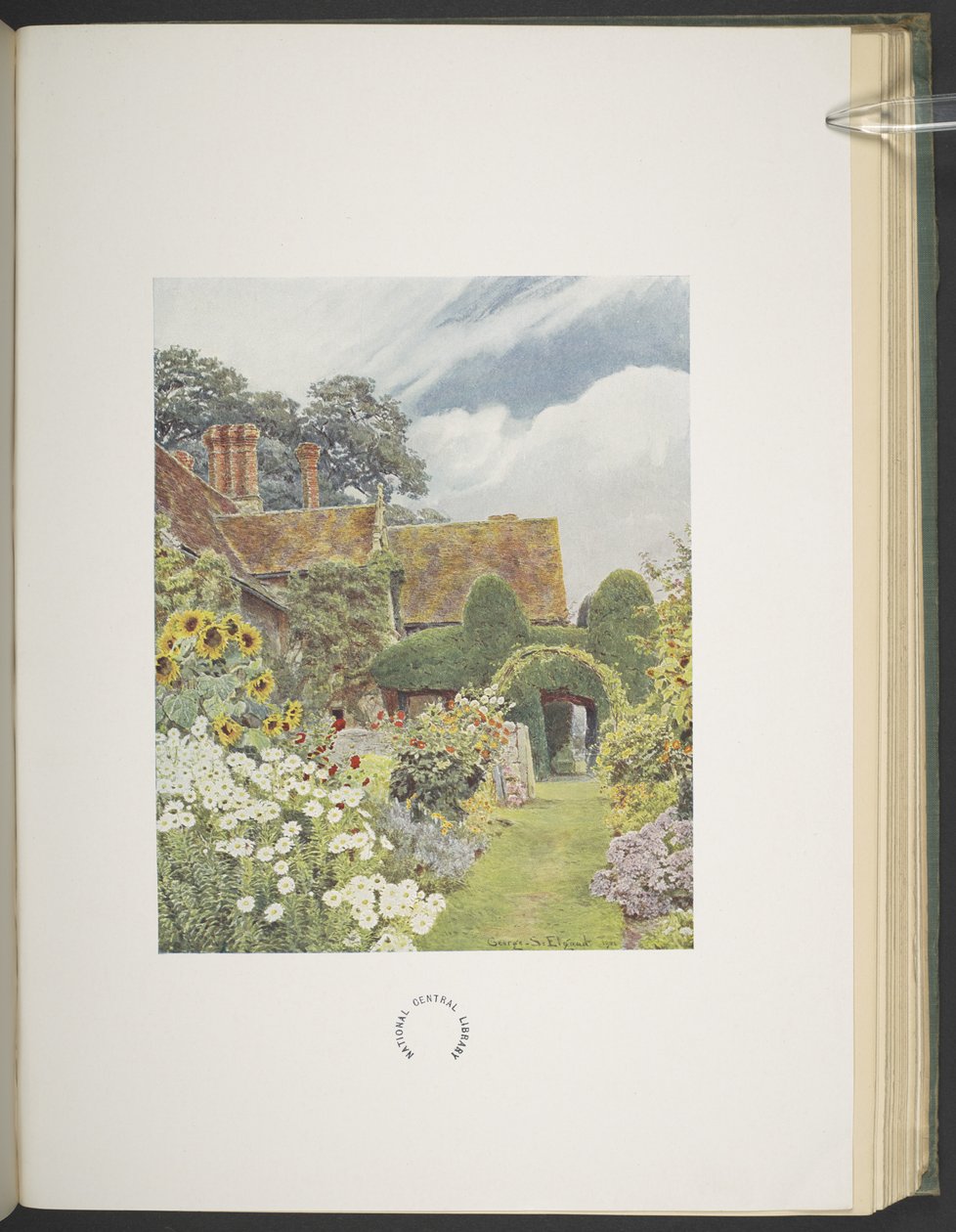 Cleeve Prior, Zonnebloemen, illustratie in 