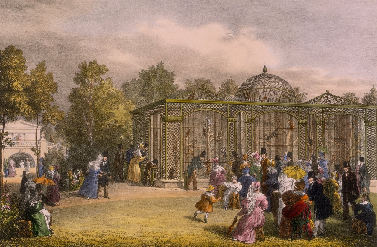 Het Apenhuis in de Dierentuin, Regent