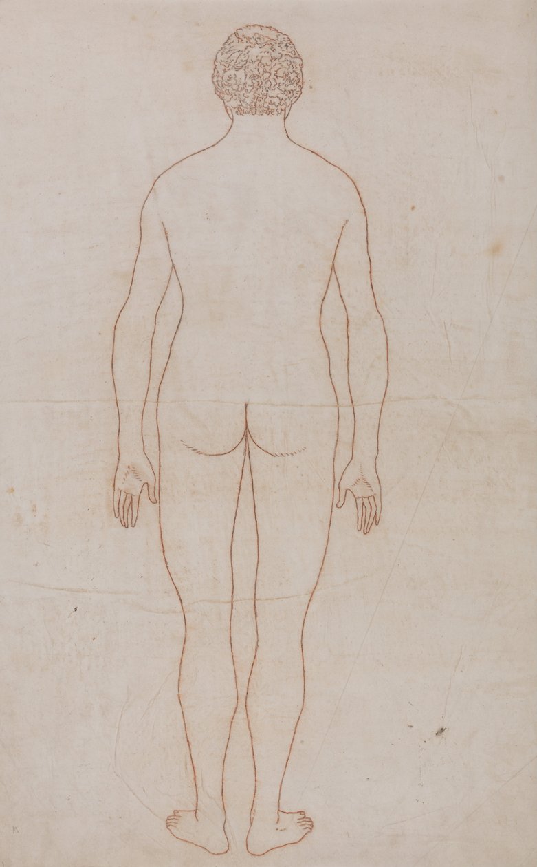 Een vergelijkende anatomische uiteenzetting van de structuur van het menselijk lichaam met dat van een tijger en een hoender: Menselijk Lichaam, Achteraanzicht (Overzichtstekening voor Tabel VII) door George Stubbs