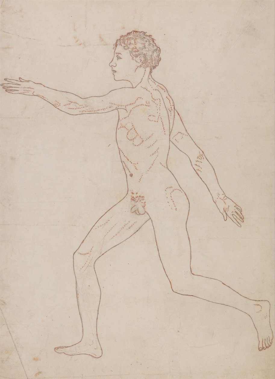 Een vergelijkende anatomische uiteenzetting van de structuur van het menselijk lichaam met dat van een tijger en een hoender: Menselijke figuur, zijaanzicht (schetsstudie in omgekeerde volgorde van tabel VIII) door George Stubbs