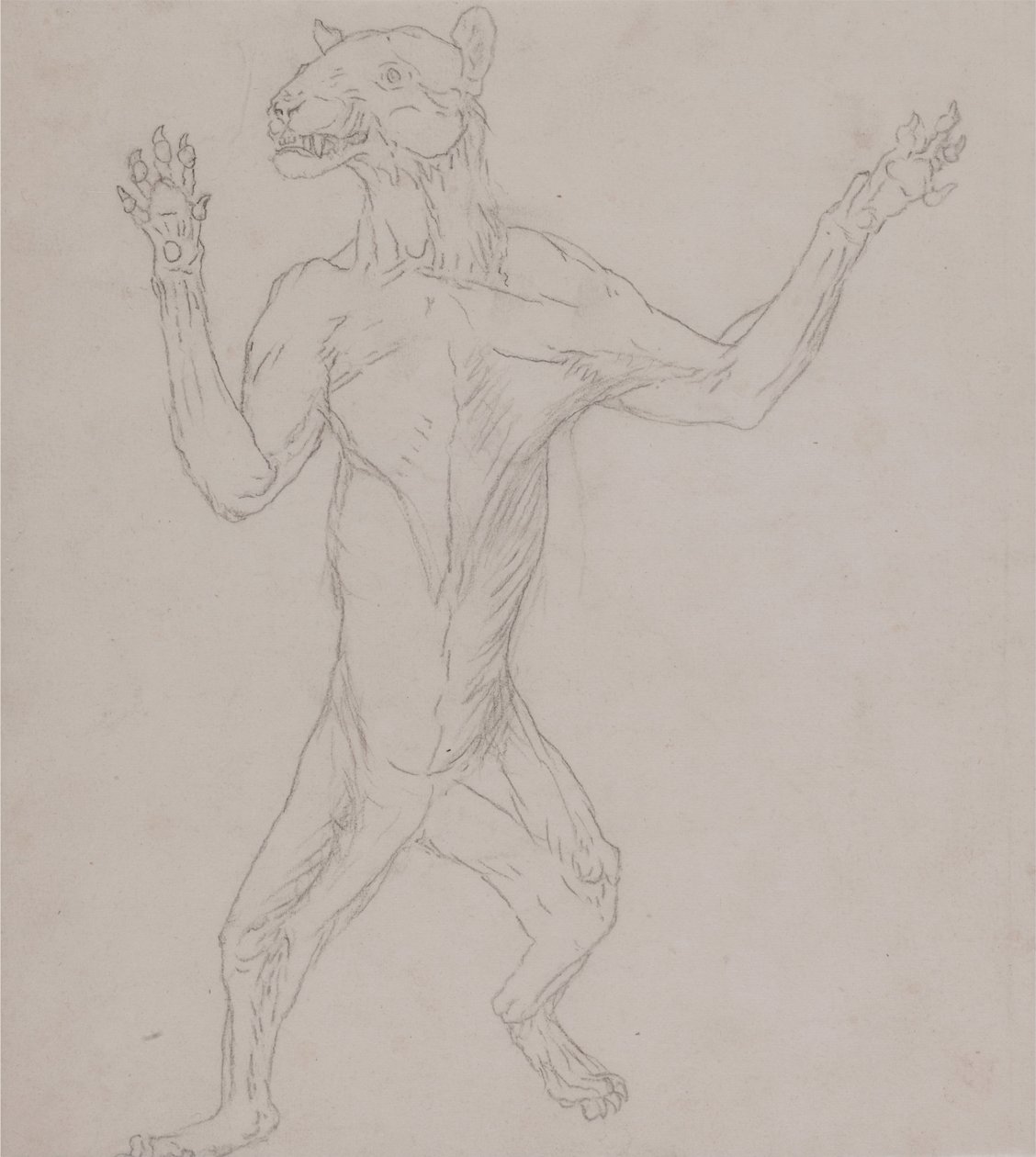 Een vergelijkende anatomische uiteenzetting van de structuur van het menselijk lichaam met dat van een tijger en een hoender:  Tijgerlichaam, staand in menselijke houding door George Stubbs