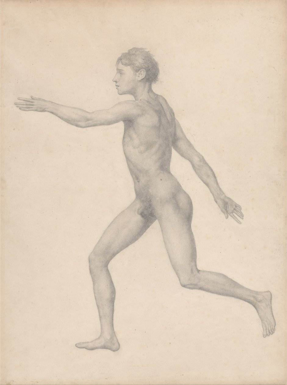 Een vergelijkende anatomische uiteenzetting van de structuur van het menselijk lichaam met dat van een tijger en een hoender: Menselijke figuur, zijaanzicht, niet ontleed (voltooide studie voor tabel VIII) door George Stubbs