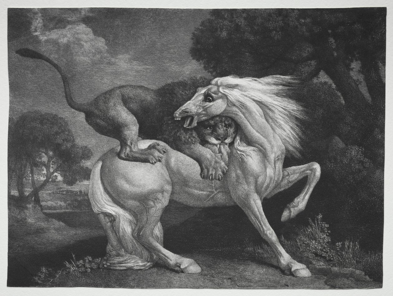 Een Paard Aangevallen door een Leeuw, 1788 door George Stubbs