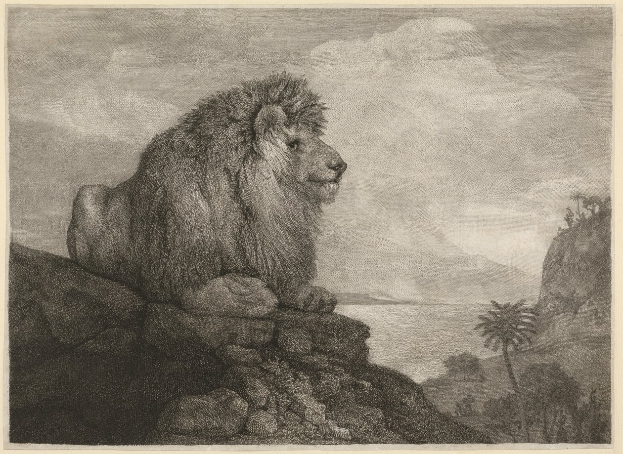 Een Leeuw [Een Leeuw rustend op een Rots] door George Stubbs