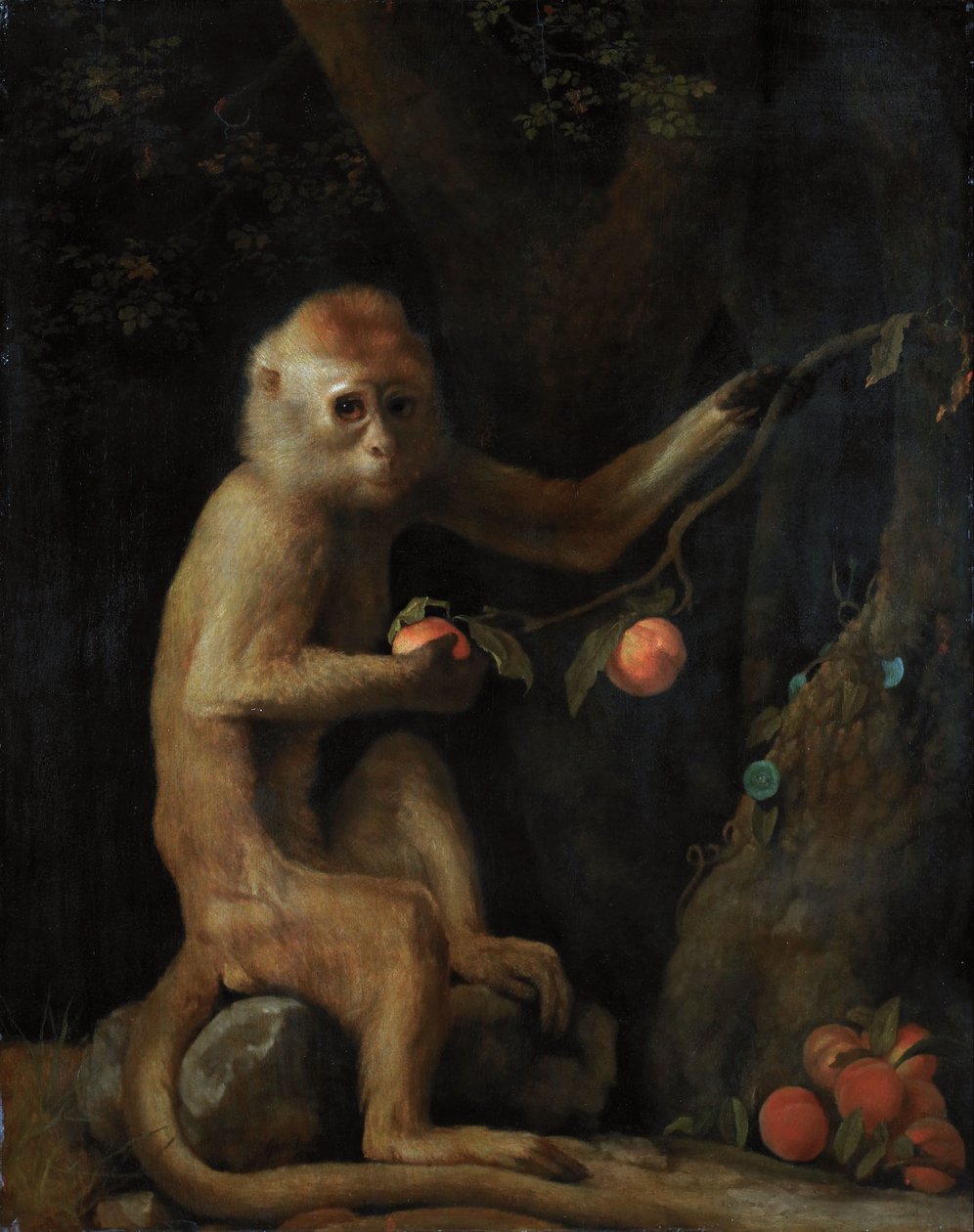 Een aap door George Stubbs