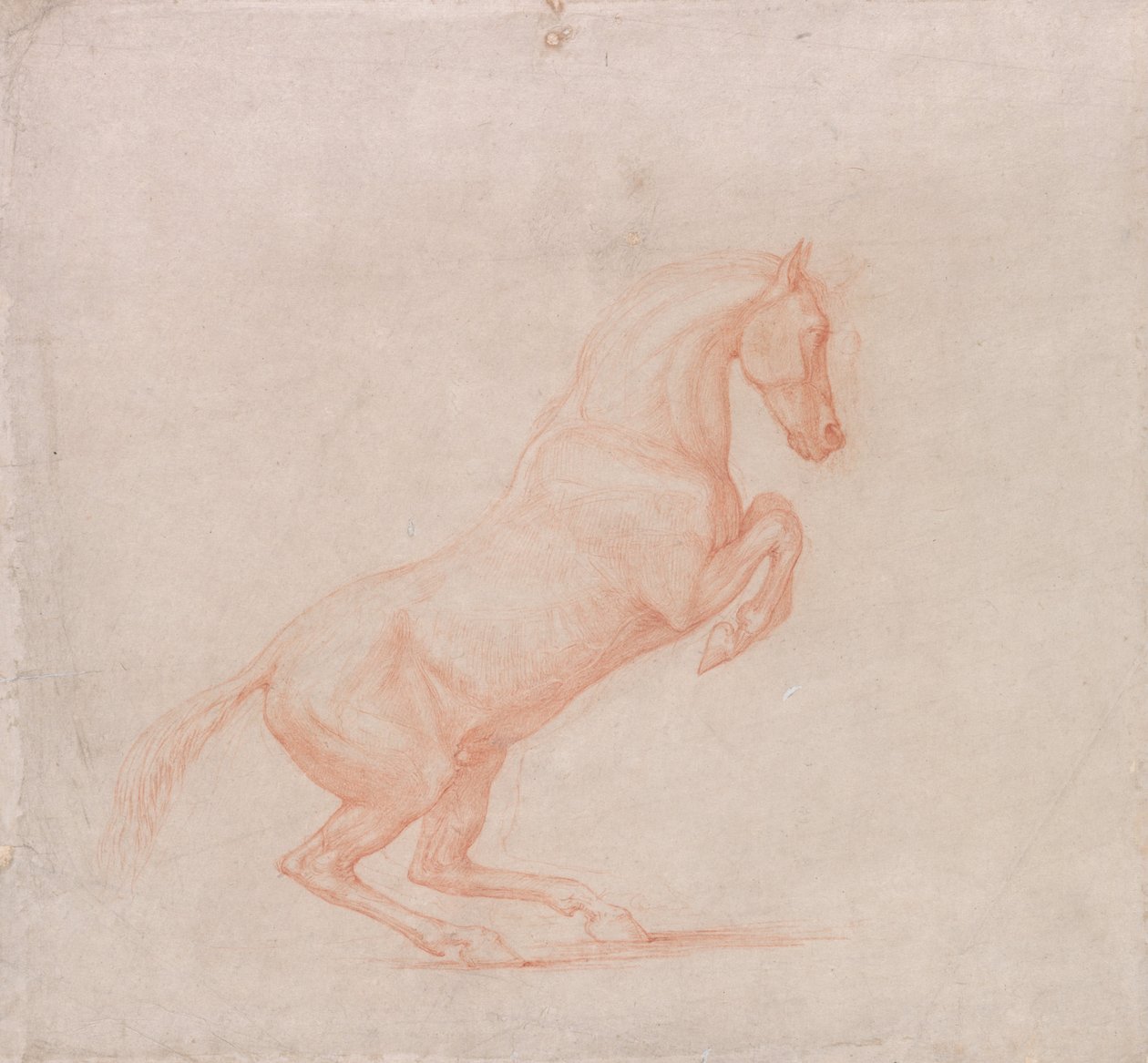 Een steigerend paard, naar rechts door George Stubbs