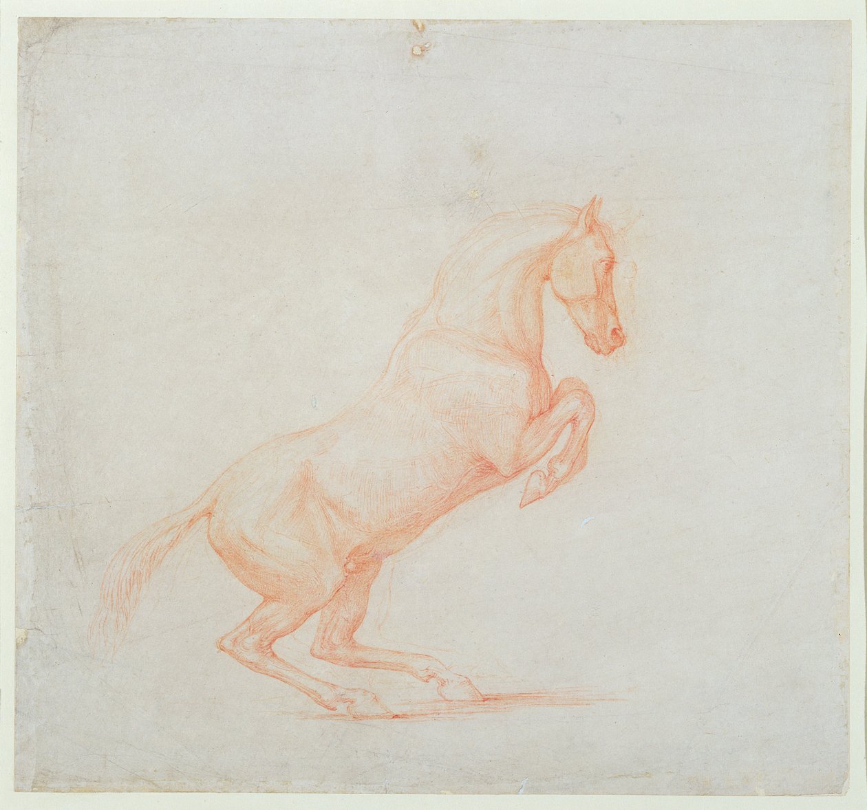 Een steigerend paard, naar rechts gericht, 1790 door George Stubbs