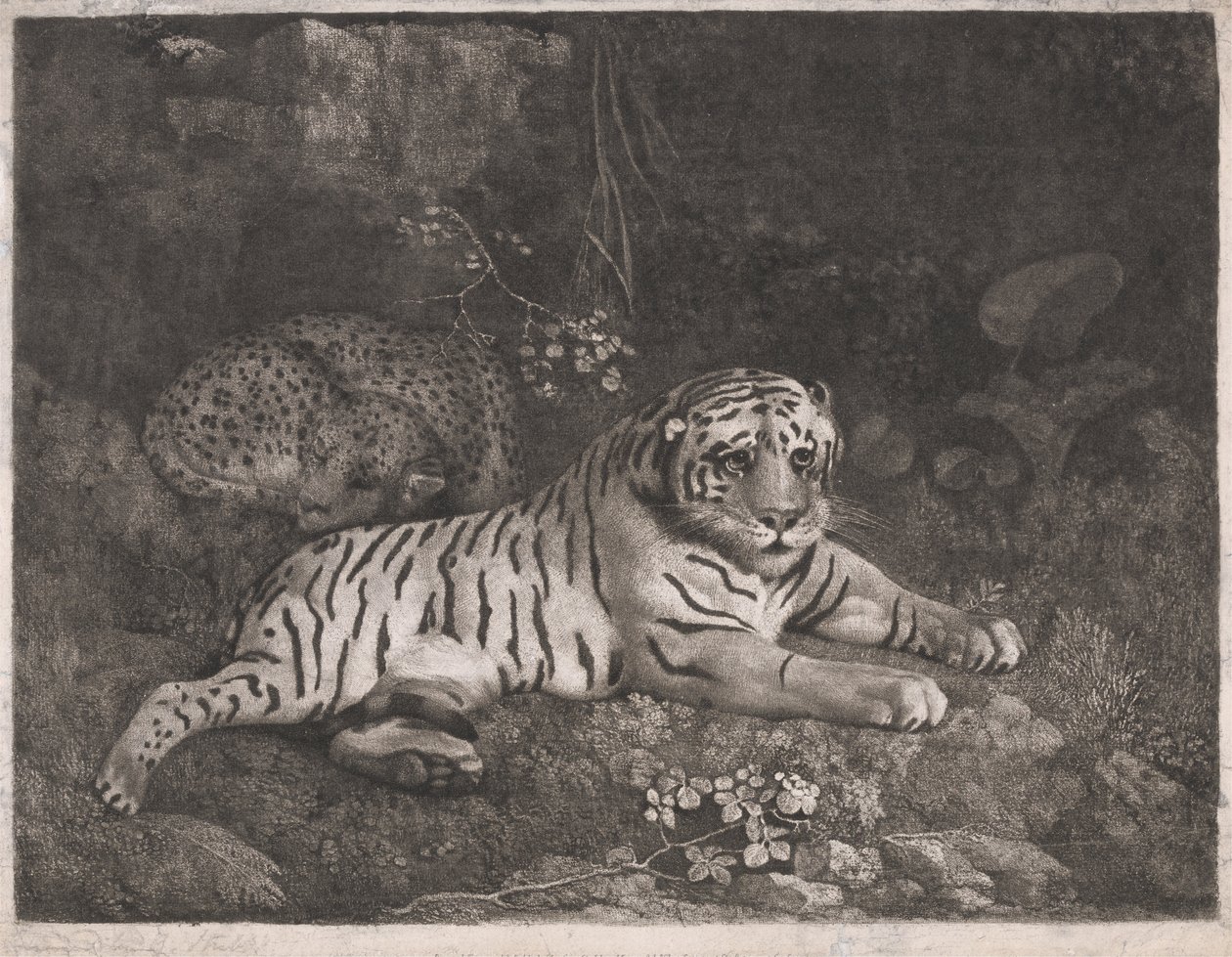 Een Tijger en een Slapende Luipaard door George Stubbs