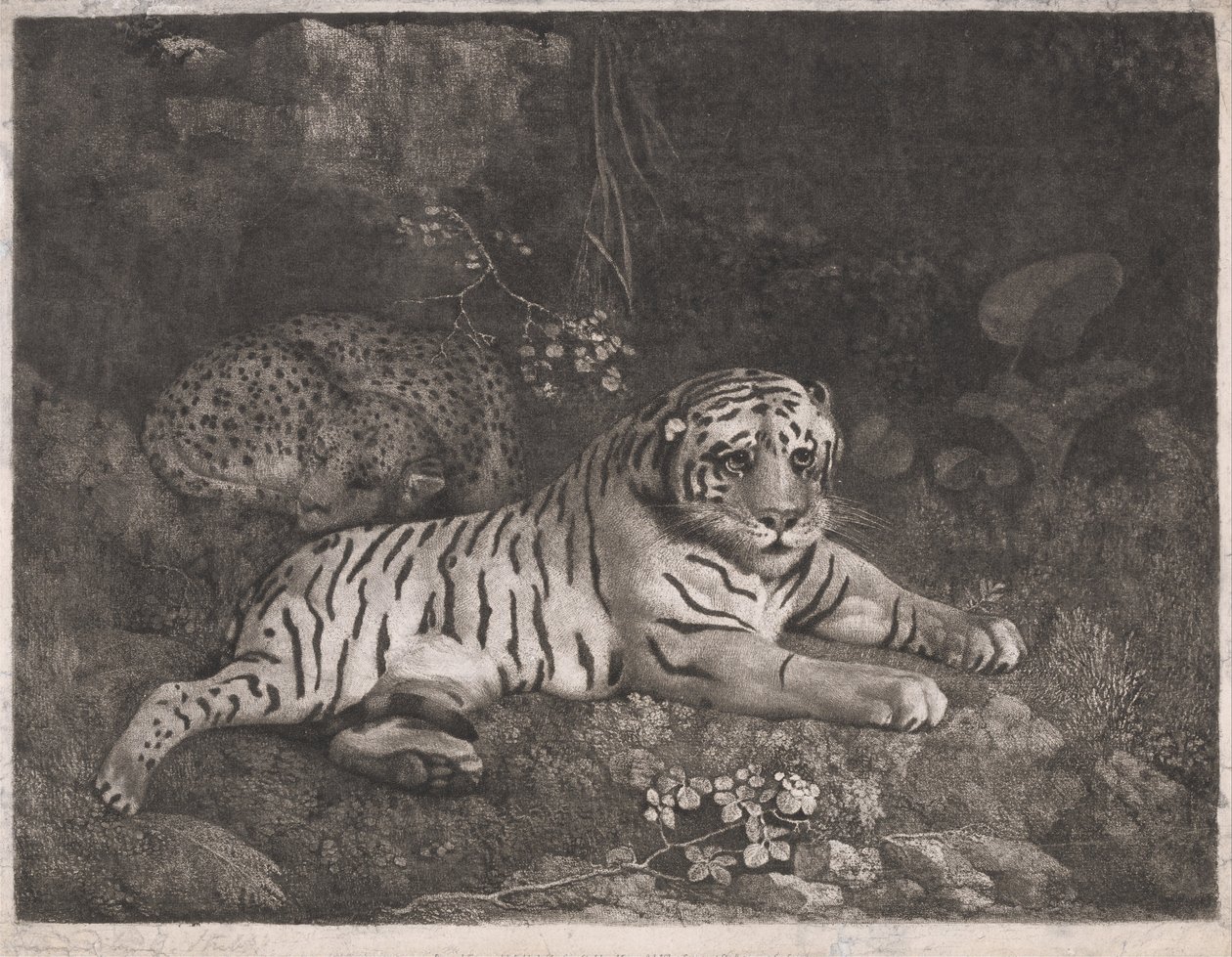 Een tijger en een slapend luipaard door George Stubbs