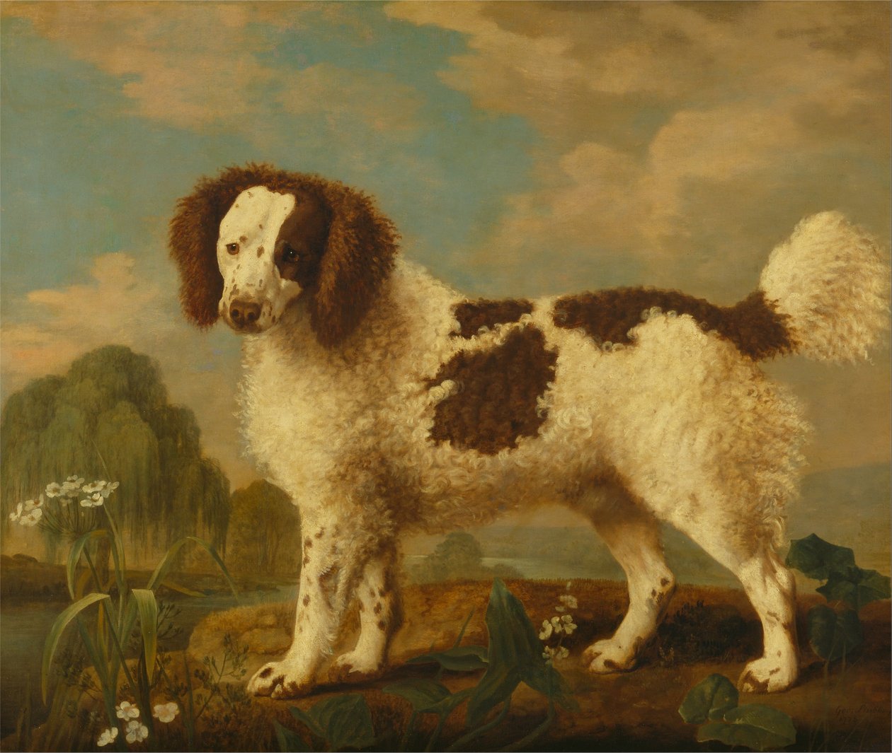 Bruin-witte Norfolk of waterspaniël door George Stubbs