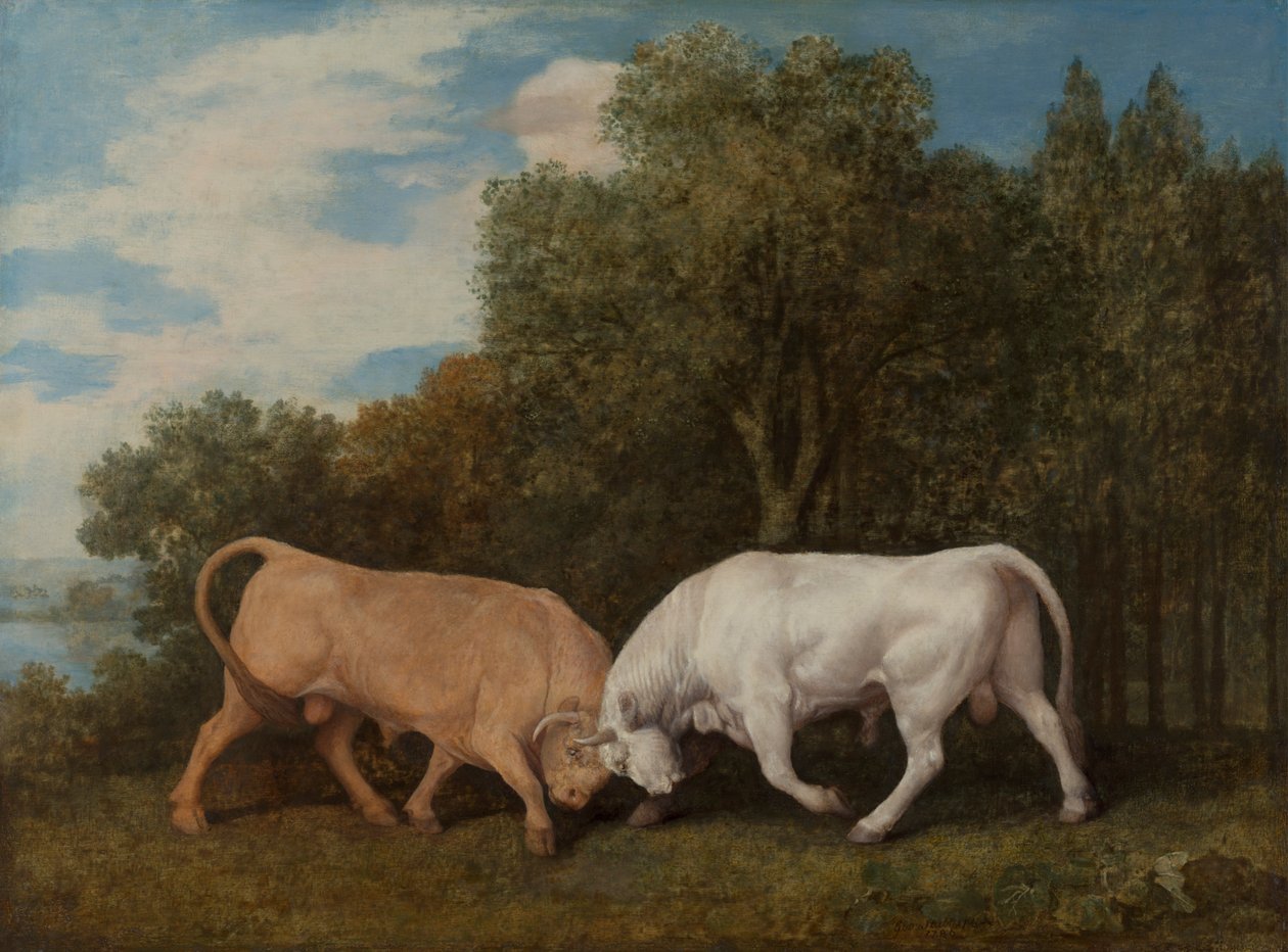 Vechtende stieren door George Stubbs