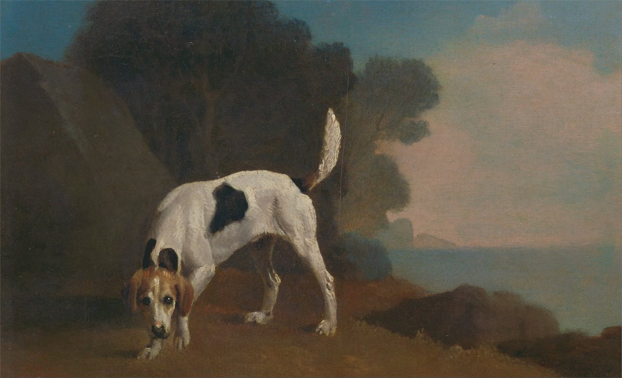 Windhond door George Stubbs