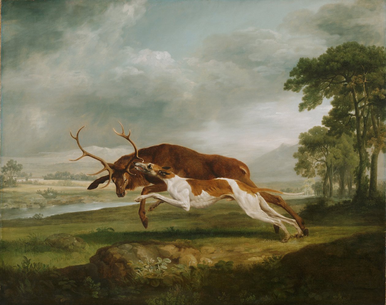 Jachthond die een hert achtervolgt door George Stubbs