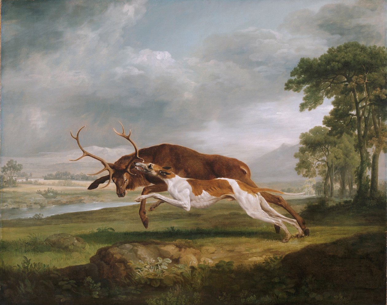Hond jaagt op een hert door George Stubbs