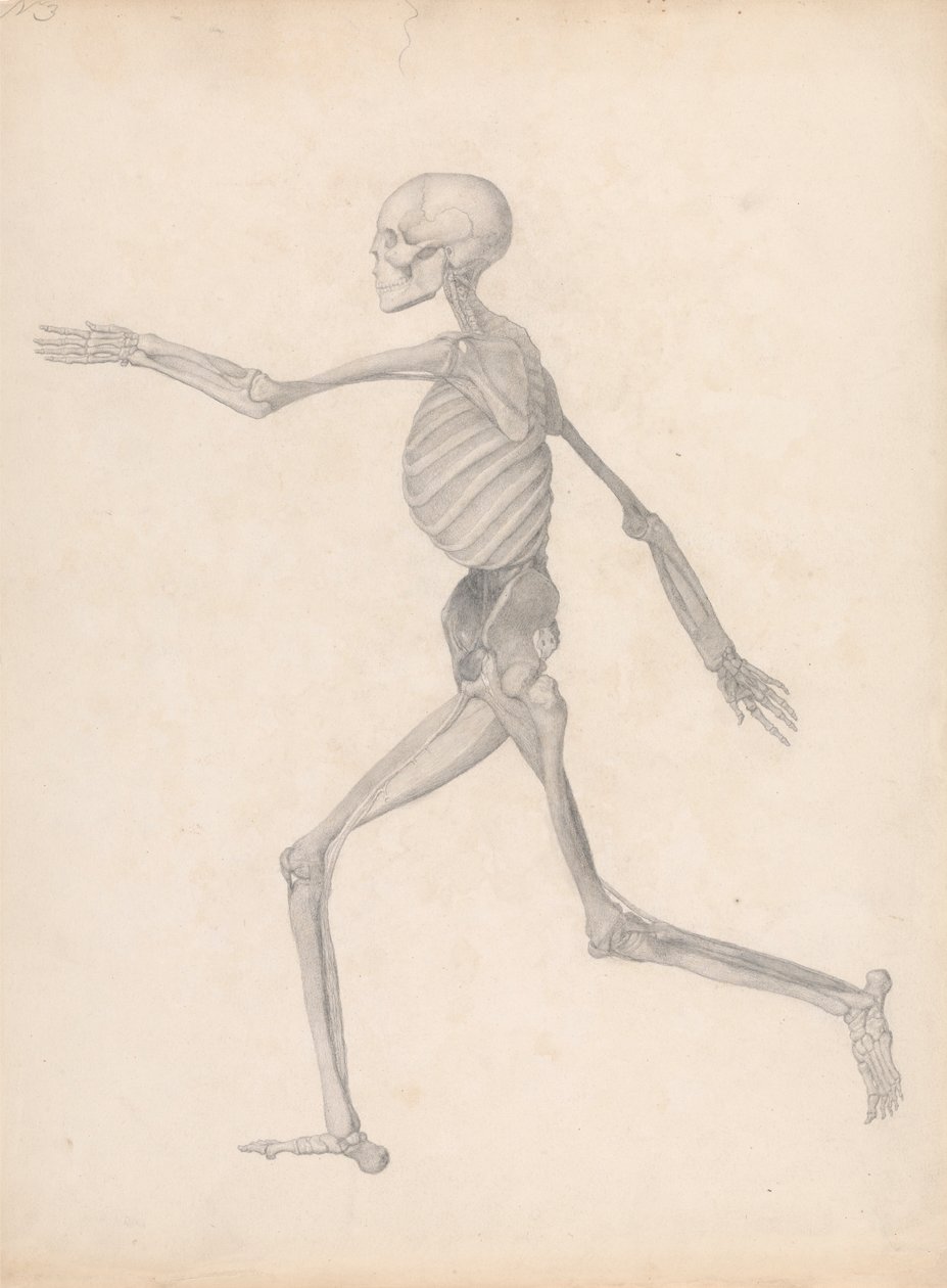 Menselijke figuur, lateraal aanzicht door George Stubbs