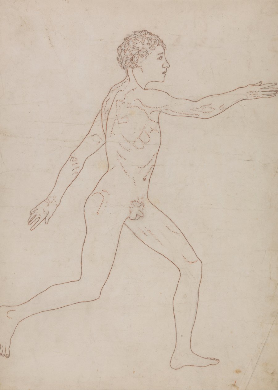 Menselijke figuur, lateraal aanzicht (Omtreksstudie in omgekeerde richting van Tabel VIII) door George Stubbs