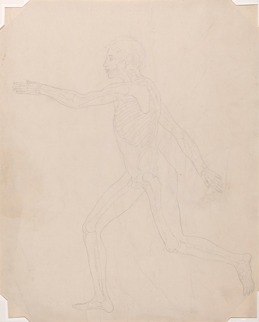Menselijke figuur, zijaanzicht door George Stubbs