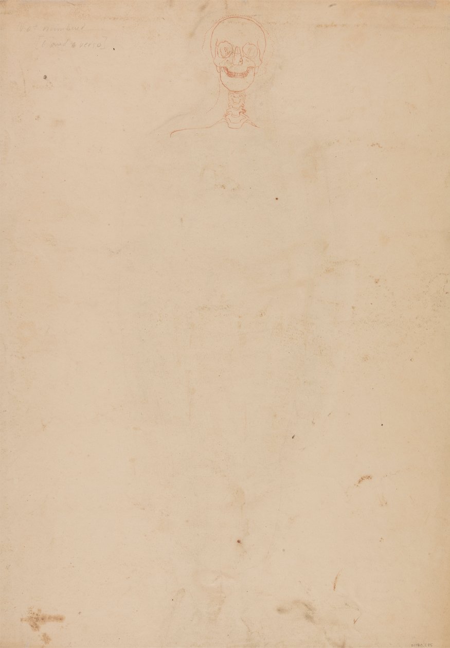 Menselijk skelet, vooraanzicht door George Stubbs