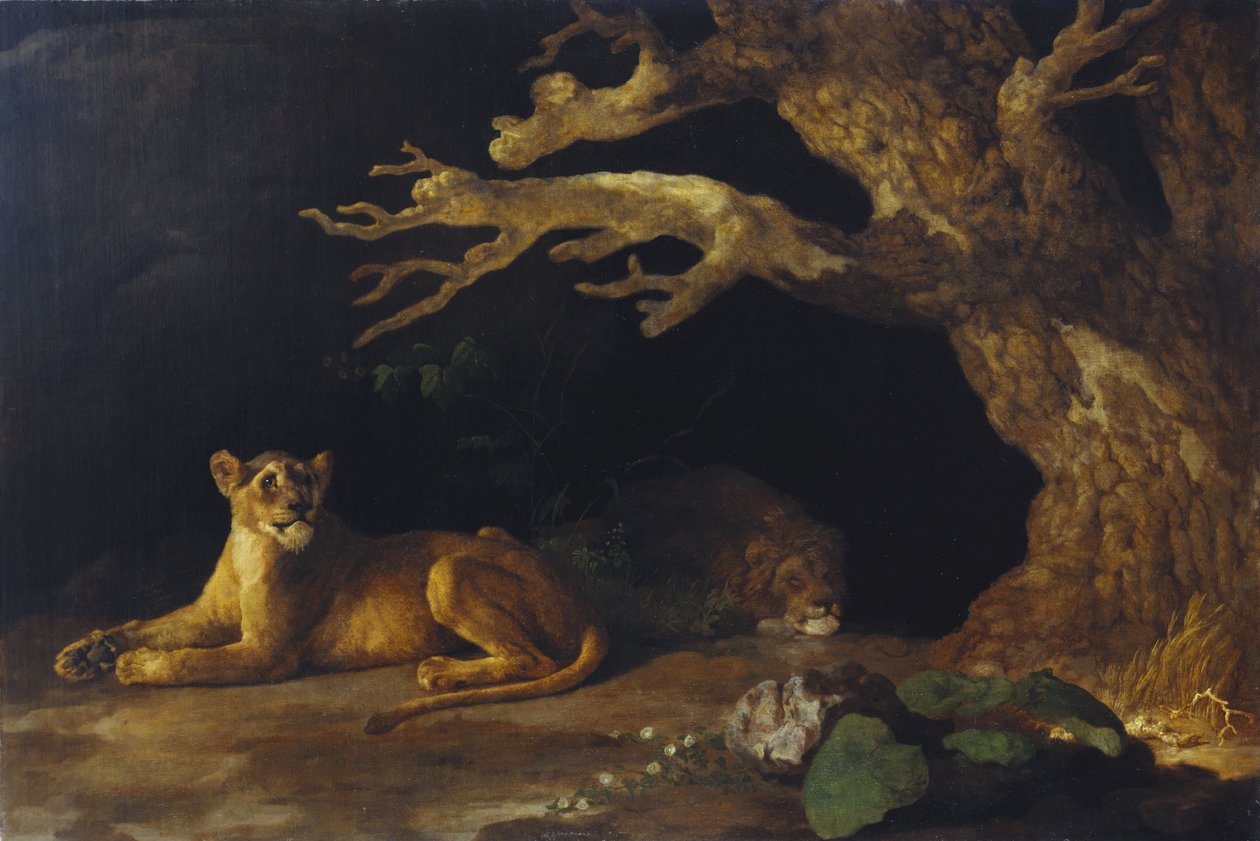 Leeuwin en grot door George Stubbs